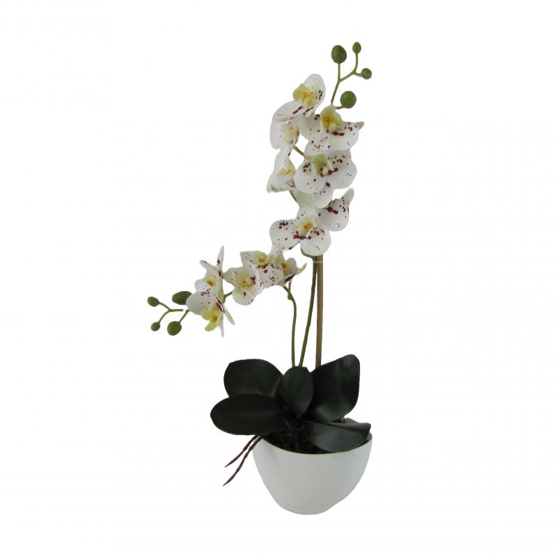 Sztuczne storczyki x2 w doniczce 55cm białe z kropkami (5 szt.)